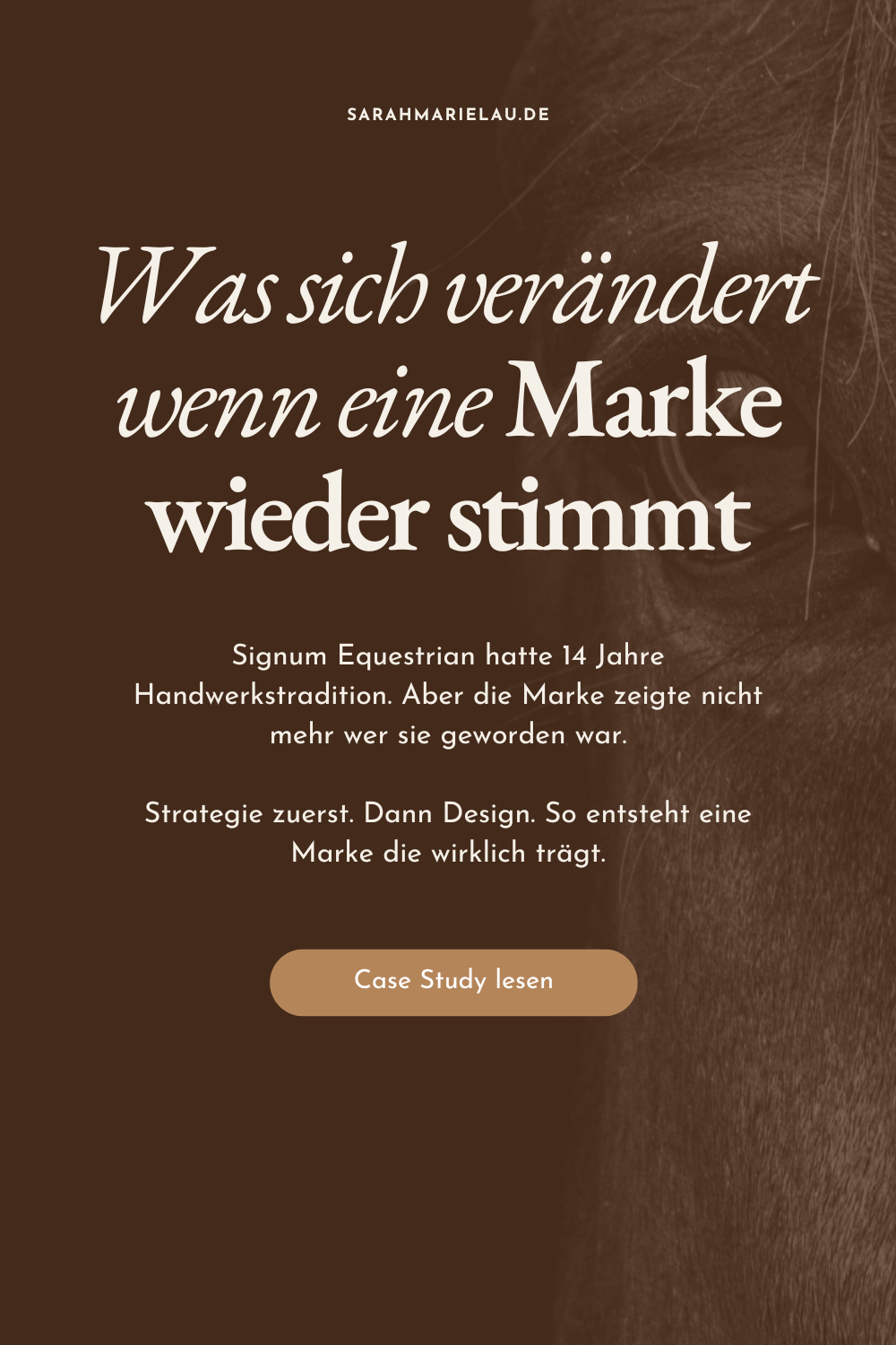Brand Book Mockup mit Lederfarben, Text: Was sich verändert wenn eine Marke wieder stimmt